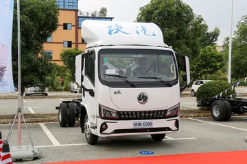 陕汽商用车 德龙G300 150马力 4.2米单排厢式轻卡(5T后桥)(SX5041XXYNP6331)