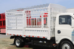 东风华神 M3 3.5T 3.85米单排纯电动仓栅式微卡(DFD5030CCYLBEV1)55.7kWh