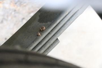 �й����� �ǵ¿�SITRAK G5S 330���� 4X2 9.5����س�(������)(LGC5181XLCZS)ͼƬ