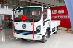 陕汽商用车 轩德翼9 标准版 160马力 4.15米单排栏板轻卡(SX1042NP6331)