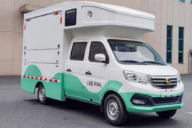 新豹T3 PLUS&nbsp;载货车外观                                                图片