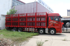 青岛解放 JH6 智尊版 560马力 8X4 畜禽运输车(带液缓) 青岛解放 JH6 智尊版 560马力 8X4 畜禽运输车(带液缓)