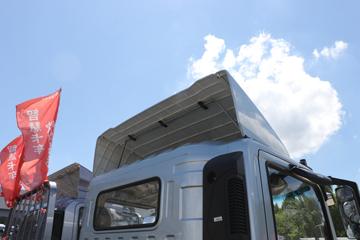 йHOWO ͳ˧PRO 170 4.15ATԶʽῨ(ZZ5047XXYF3319F145)ͼƬ