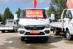 东风途逸 T5 年度款 标准款 1.6L 105马力 CNG 3.8米单排栏板小卡(国六)