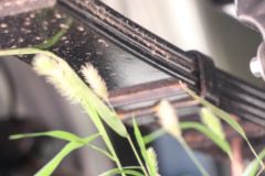 长安跨越王X7 2.0L 144马力 汽油 3.05米双排栏板小卡(SC1031FRS63) 长安跨越王X7 2.0L 144马力 汽油 3.05米双排栏板小卡(SC1031FRS63)