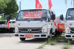 东风 小霸王W15 1.6L 123马力 汽油 3.1米双排栏板小卡(EQ1032D60Q6H)