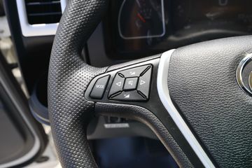 ����ʮͨ ���� 150���� 6�׵��Ų�դʽ�ػ���(STQ5125CCYN6)ͼƬ