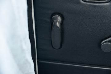 SRM��Դ ��ʨ 2024�� ����ʨ 112���� 1.5L 7/9���ͳ�ͼƬ