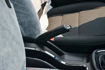 SRM��Դ ��ʨ 2024�� ����ʨ 112���� 1.5L 7/9���ͳ�ͼƬ