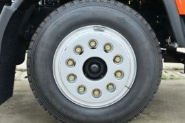 大运G6&nbsp;平板运输车底盘图片