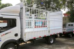 东风 凯普特星云K5 127马力 CNG 4.17米单排仓栅式轻卡(EQ5030CCY3TNEAC)