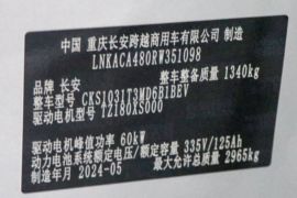 新豹T3 PLUS EV&nbsp;电动载货车内饰图片