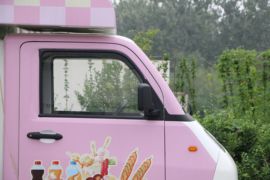 神童01&nbsp;电动载货车外观图片