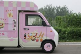 神童01&nbsp;电动载货车外观图片