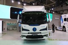 陕汽重卡 德龙L6000 4X2 电动载货车310kWh