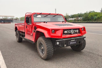ʿ 500 4.0T 195  ԶƤ ͼƬ