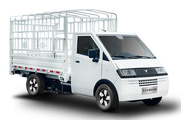 大力牛魔王 D08 舒适型 3.2T 3米单排纯电动仓栅式微卡(DLP5030CCYBEVD05H)45.15kWh