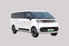 大拿M1&nbsp;电动封闭厢货外观图片