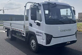 骐蔚牌长江9号&nbsp;电动载货车外观图片