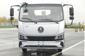 陕汽商用车 德龙G200 155马力 4X2 4.06米冷藏车(SX5049XLCNP6341)