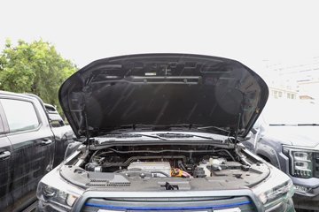 ����󽫾�EV 2025�� ��׼�� ���� ����˫�Ŵ��綯Ƥ�� ����ʱ��63kWhͼƬ