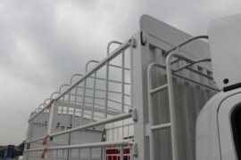 虎6G&nbsp;电动载货车上装图片