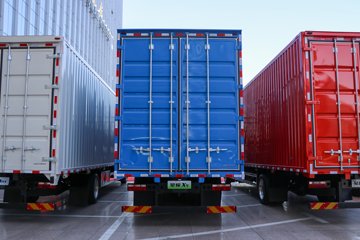 星耀X5&nbsp;电动载货车外观图片