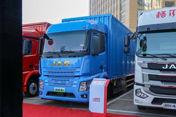 星耀X5&nbsp;电动载货车外观图片