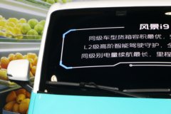 图雅诺 风景i9 纯电动封闭厢式货车