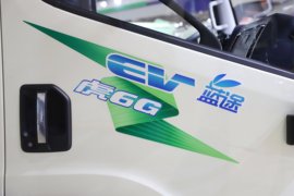 虎6G&nbsp;电动载货车外观图片