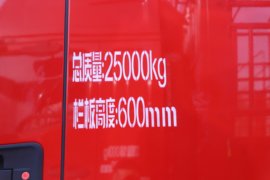 德龙M5000&nbsp;载货车外观                                                图片