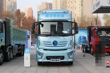 德龙H6000E&nbsp;电动载货车外观图片