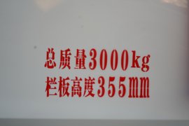 途逸T7&nbsp;电动载货车外观图片