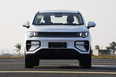 雷达金刚 电动皮卡