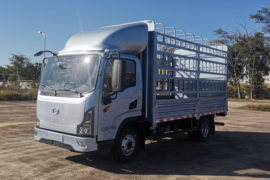 T3 Plus&nbsp;电动载货车外观图片