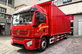 龙骥&nbsp;载货车外观                                                图片