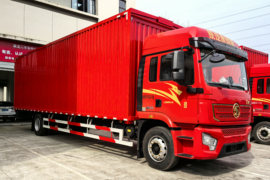 龙骥&nbsp;载货车外观                                                图片