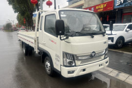祥菱M2 Plus 载货车外观                                                图片