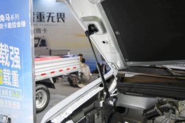 成功角马 载货车外观                                                图片