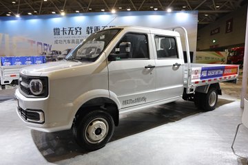 成功角马 载货车外观                                                图片