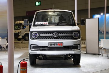 成功角马 载货车外观                                                图片