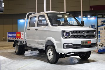 成功角马 载货车外观                                                图片