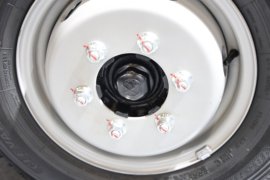 成功角马 载货车底盘                                                图片