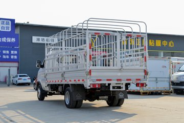 跨越王X3 PLUS EV&nbsp;电动载货车外观图片