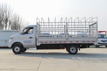 跨越王X3 PLUS EV&nbsp;电动载货车外观图片