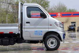 小霸王W08&nbsp;载货车外观                                                图片