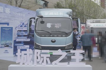 T5&nbsp;电动载货车外观图片