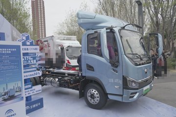 T5&nbsp;电动载货车外观图片