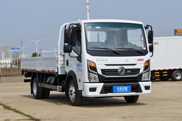 东风 凯普特星云K6-S 2.0L 127马力 CNG 4.17米单排栏板轻卡