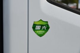 多利卡D6&nbsp;载货车外观                                                图片